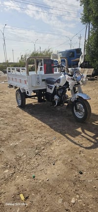 ستوتة • موديل ٢٠٢٣ • كفالة عامة