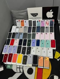 شلعة • مزاد • اعلى سعر