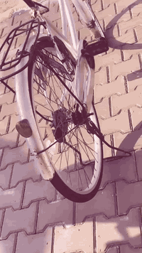 السلام عليكم بيسكل بناتي حجم 26 نضافه 80%ابيع معه الاغراض مكان بغداد الحسينية الراشدية رقم الاستفسار *********** سعر 80 وبي مجال
