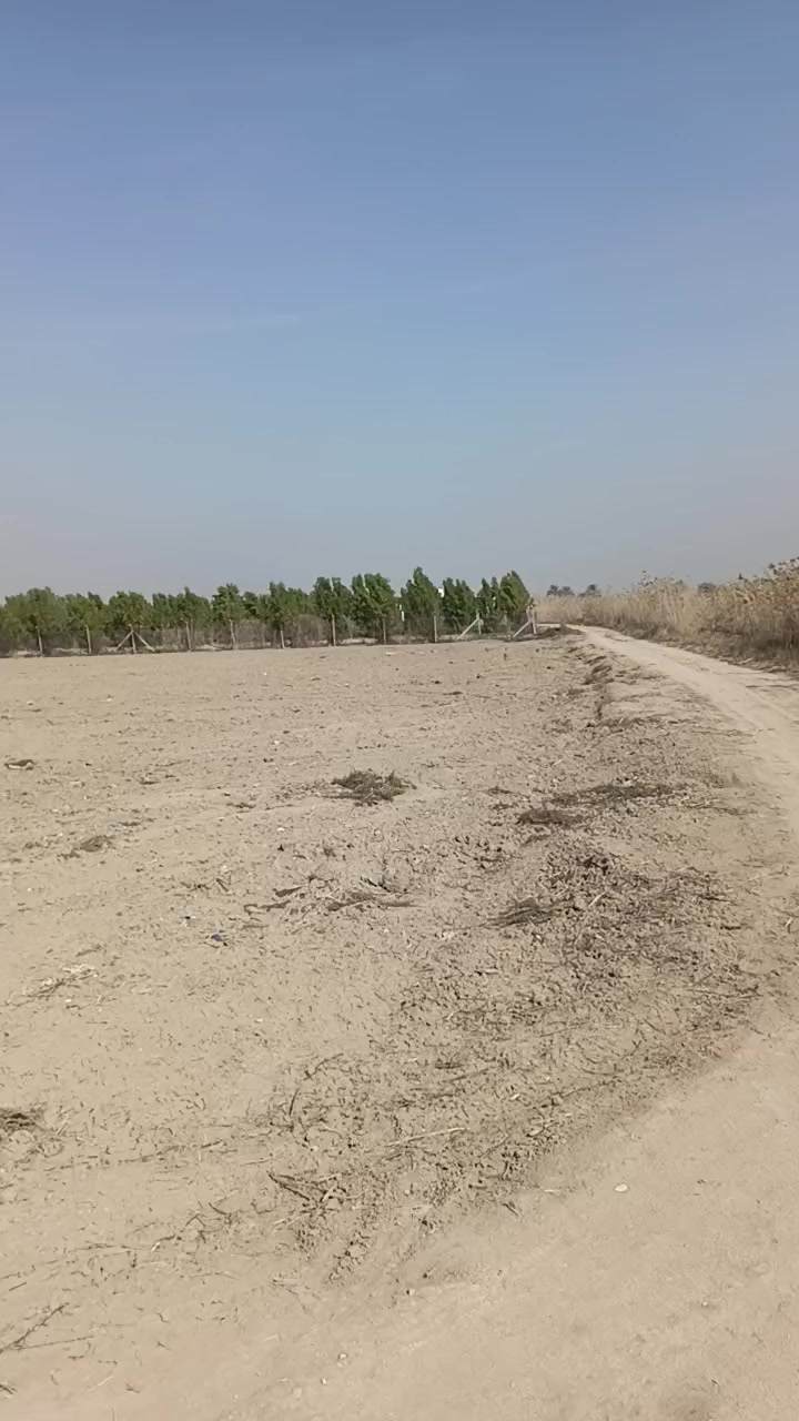 دونم للبيع واجه 37 ونزال 68 موقع دونم بغداد مدائن سلمان باك خلف دائره كهرباء لي بحي شهداء سعر دونم 75 وبي مجال كلش بسيط ***********
