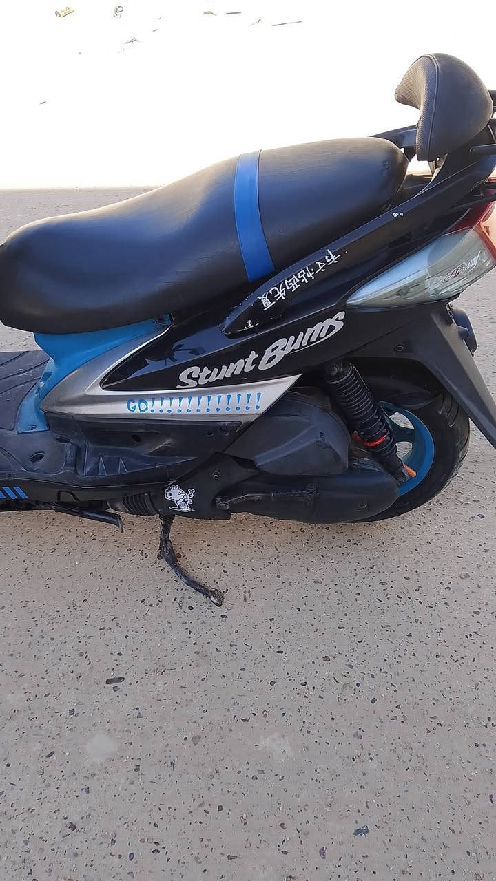 سكنس فحل ياباني البيع او مراوس واخض فرق مكفول شلعه ومعدل فول بغداد مدينة صدر900الف ***********
