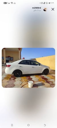سيراتو • ٢٠١٣ • كرمه علي أبو صخير