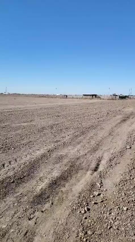 السلام عليكم دوانم للبيع في منطقة الشيخ عامر عبور جسر سبع البور عل تبليط مباشر متوفره كافة الخدمات قرب جسر الشيخ عامر سعر الدونم 70 قفل للاتصال على الارقام التالية *********** يتوفر واتساب
