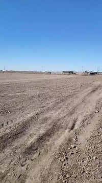 الشيخ عامر • ٢٥٠٠م • تبليط مباشر