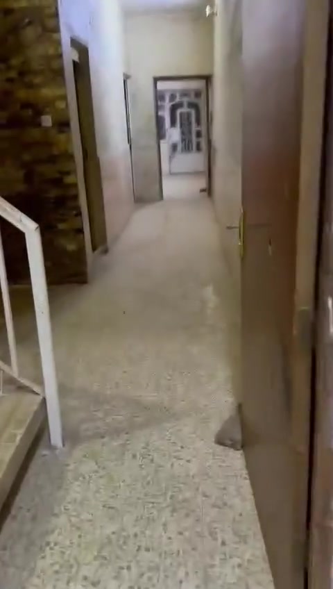 ياالله      للبيع  ٨٤  متر طابوملك صرف  ٣ و ٦٠ سم ولنزال  ٢٢ ونص بناء ٢٠٠٥ مسلح يحتوي على استقبال ومطبخ وحولي ولملحقات وغرفتين نوم بالشعب الجزائر شارع منظمة بدر  السعر ١٦٠ مليون وبي مجال   ***********📞

