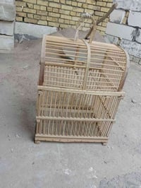 قفص • قبل سبوع • ناصريه مركز