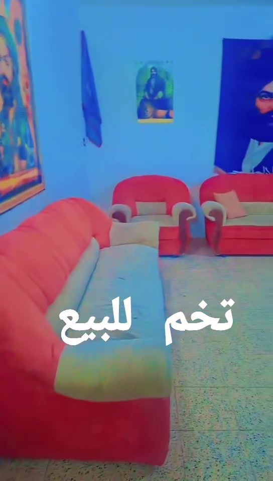 تخم للبيع 10مقاعد


**إذا كنت صاحب هذا الإعلان وتريد حذفه لأي سبب، رجاءا أرسل رسالة إلى الدعم الفني**