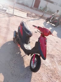 ماكس عدله • بوشه 49 • ويل رياضي