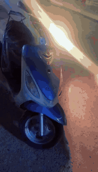 ماكس ✅ منغولي البيع كاملة من كلشي ✅ رياضي ✅ صانصه اف ام ✅ بوشة 55✅ كلج...