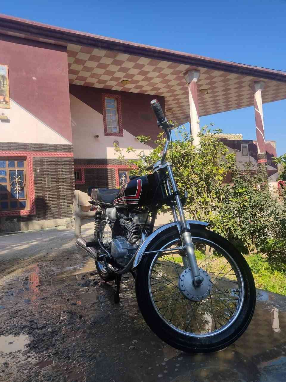 سلام عليكم دراجه البيع كير خير من الله برغي ما مفتوح جبي فيتر وتعال ريد بدرجه كامله المكان دوانيه حي الجامعه ***********
