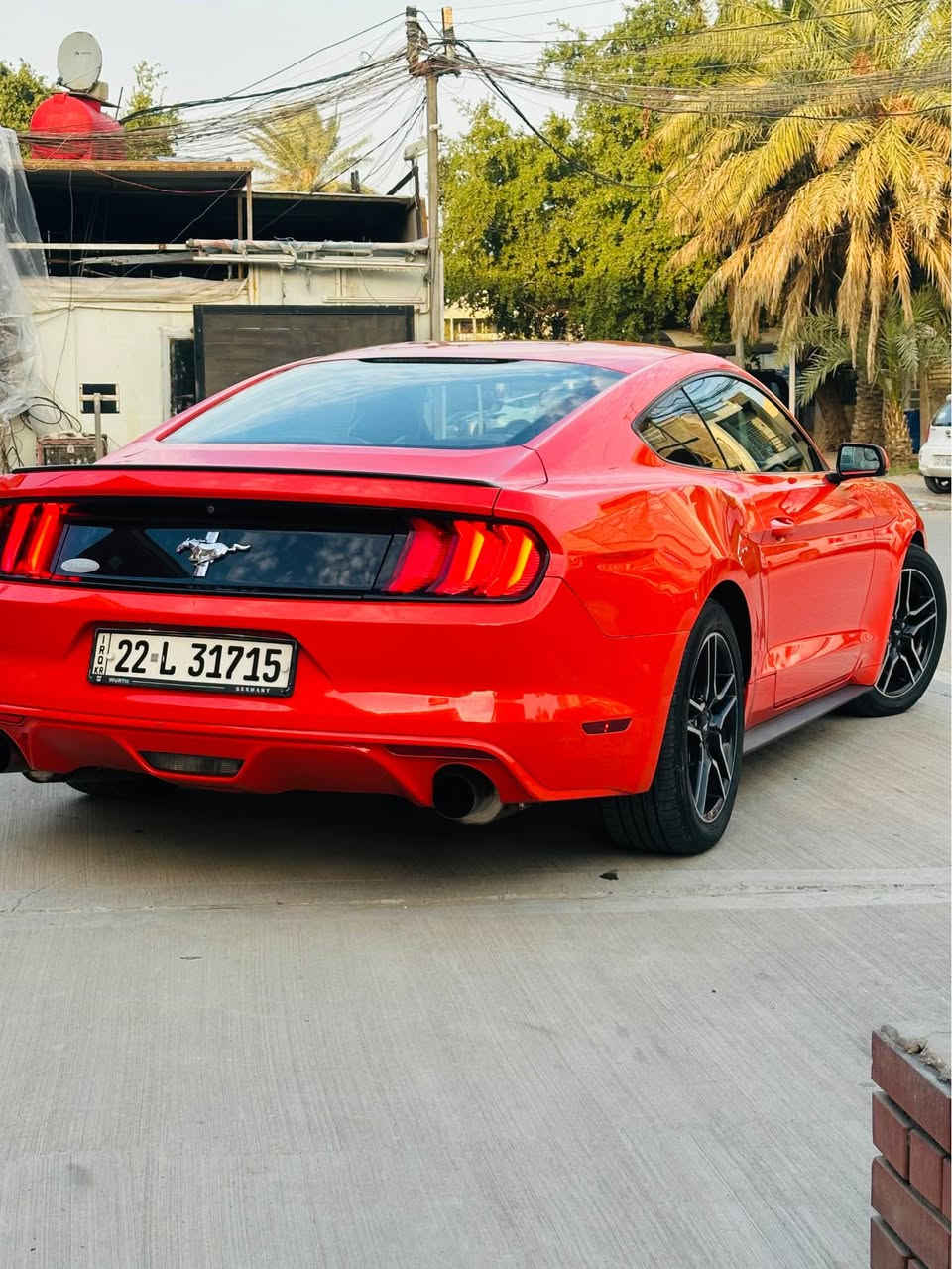 سلام عليكم  موستنك كلين ولون مميز برتقالي 🧡🍊
موديل 2015السياره كفاله عامه من صبغ ضربه تبديل حته دعاميات بلاديه قطره صبغ ما بيهه كلين كلين 
    محرك V6🐎🐎
  سبيرها ما نازل ع وضع شركه 
تخم تاير جديد صدر جديد 
أناره داخليه برميوم 
اكزوز اصلي تحكم من يمك
تعال وشوف بعينك 
    ما يحتاج اشرح عليها الشراي يتصل السياره ابسمي 
السعر ١٦٨وبيهه مجال بسيط 
غير متواجد ع فيس الشراي  يتصل ويدلل 
   رقم الهاتف *********** بغداد, العراق
