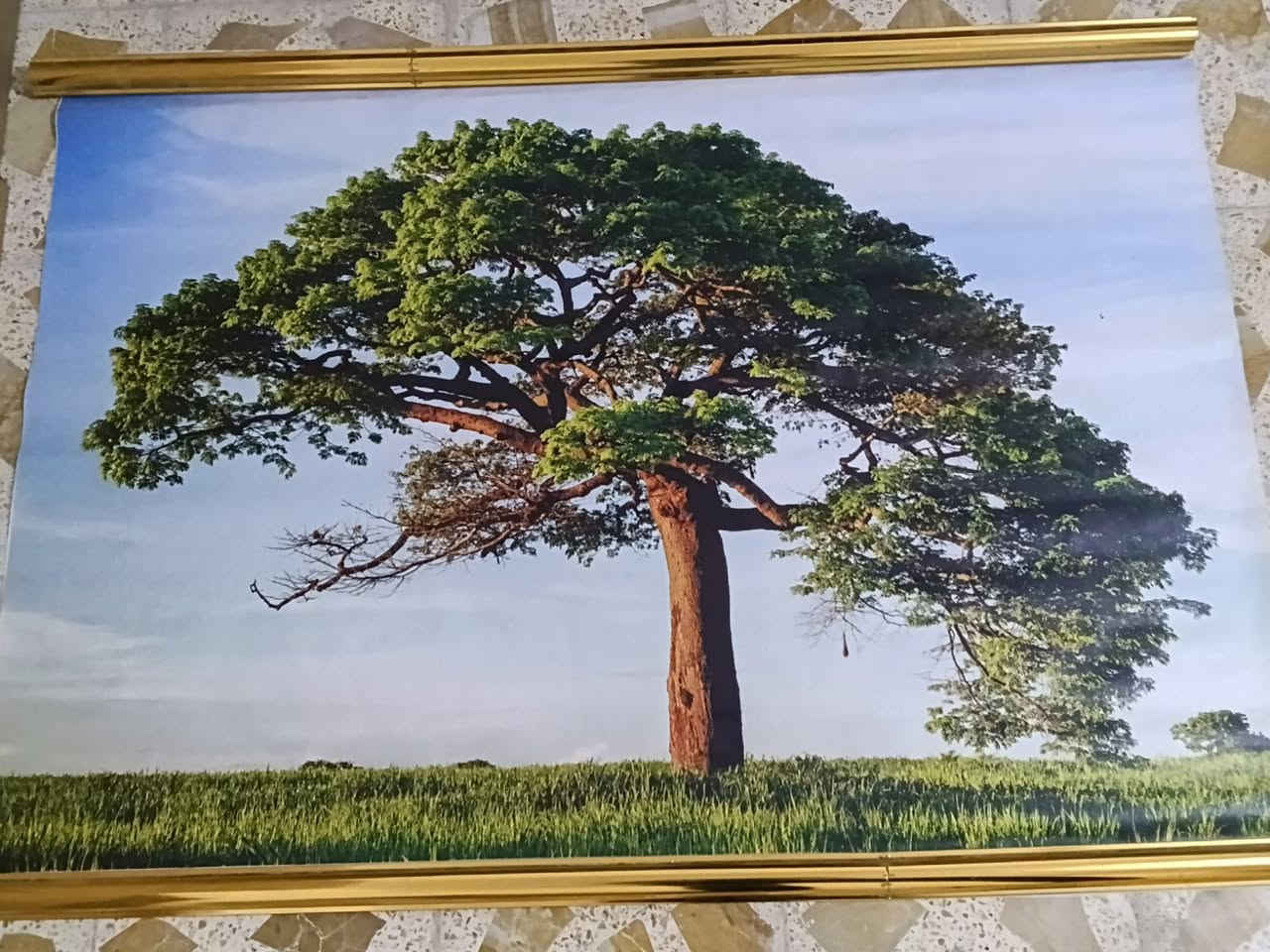 ع ٥ الف الوحده


**إذا كنت صاحب هذا الإعلان وتريد حذفه لأي سبب، رجاءا أرسل رسالة إلى الدعم الفني**