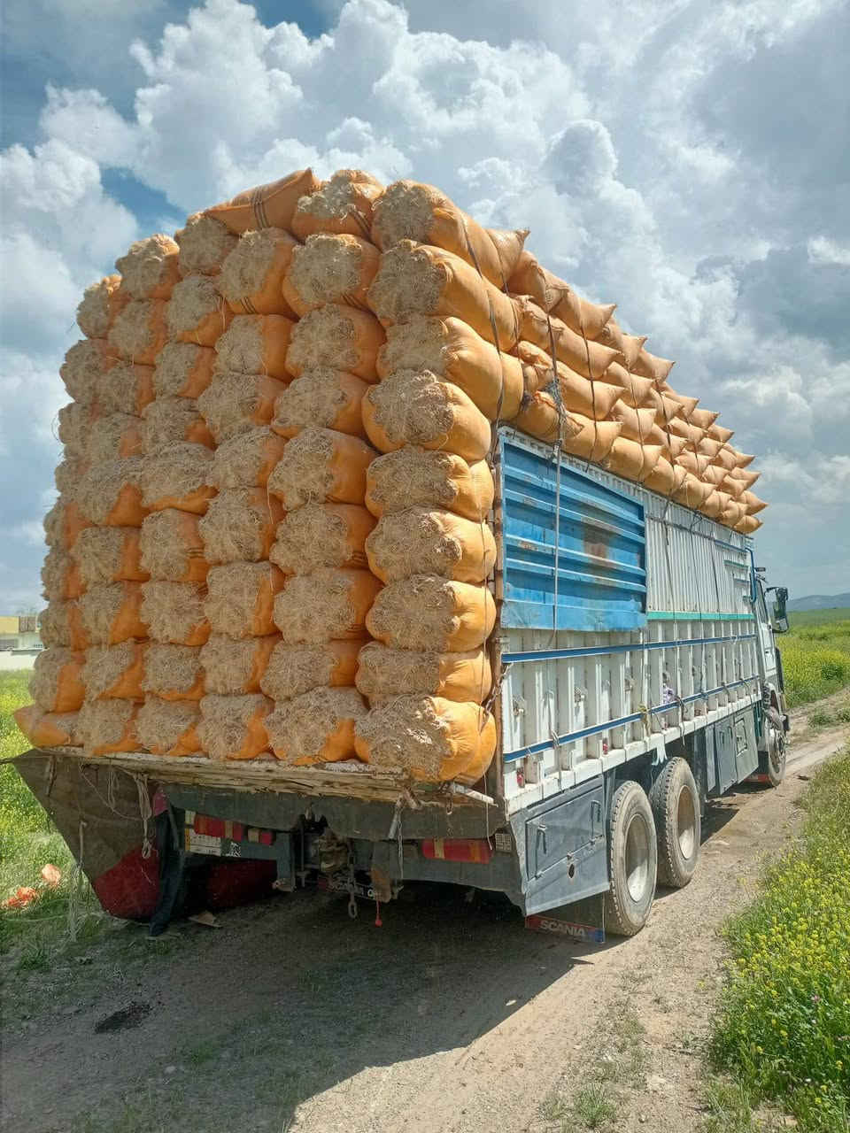سلام عليكم يوجد تبن البيع طحن ناعم شرط نظافة فول حجم شليف الطول 120 العرض 90 
يوجد توصيل الي كافه محافظات العراق أقل كمية 400 شليف سعر خاص


**إذا كنت صاحب هذا الإعلان وتريد حذفه لأي سبب، رجاءا أرسل رسالة إلى الدعم الفني**
