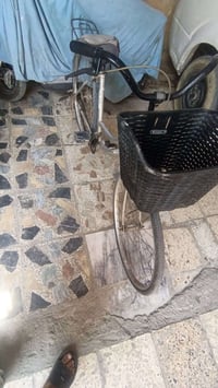 بسكيل البيع بغداد العبيدي تيراته بناجر سعره 40 07722049201