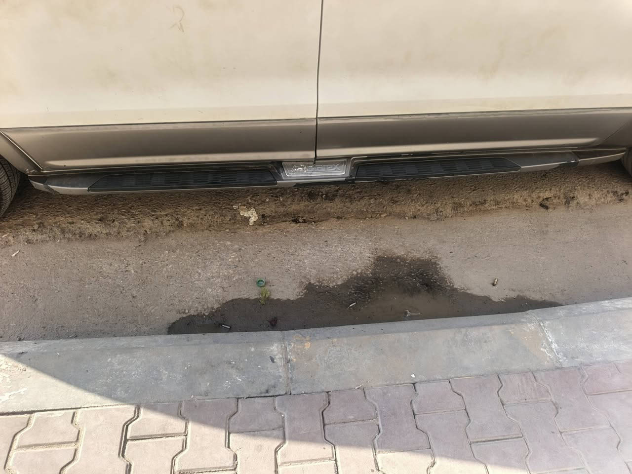 سلام عليكم دوس للبيع بدون أرباع
مكاني واسط نعمانيه ***********
***********
