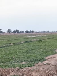 الصويرة • ٥ دوانم • طابو فوري