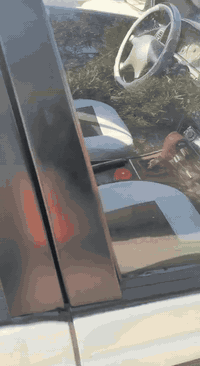 سلام عليكم بيجو روه محور مكينه وكير ياباني مالت مارك ونجي عدل سيارة كشره حلوه تخم تاير بيه صوت بلكسن لان مابدلته لغود الي يم المكينه معمرين تعمير موحلو شاصي يرادله حداده سعر ٣٠ ورقه وبيه مجال لطيبين بغداد معامل الحسينيه ***********
