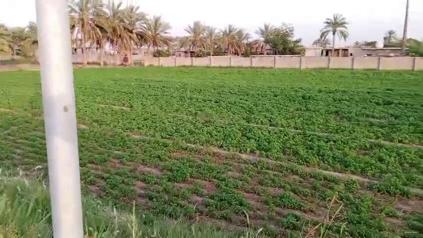 أرض للبيع مساحه 5 دونم واقع حال 7 دونم أرض طابو سند 25 مفوضه بلطابو يعني طابو صرف في أبو غريب منطقة حميد شعبان متوفر كافت الخدمات وسعر مناسب على موقعه للتصال رقم الهاتف ***********
