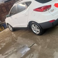 توسان ٢٠١٣ • كفالة • رقم سليمانيه