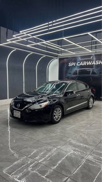 التيما • ٢٠١٧ • وارد أمريكي