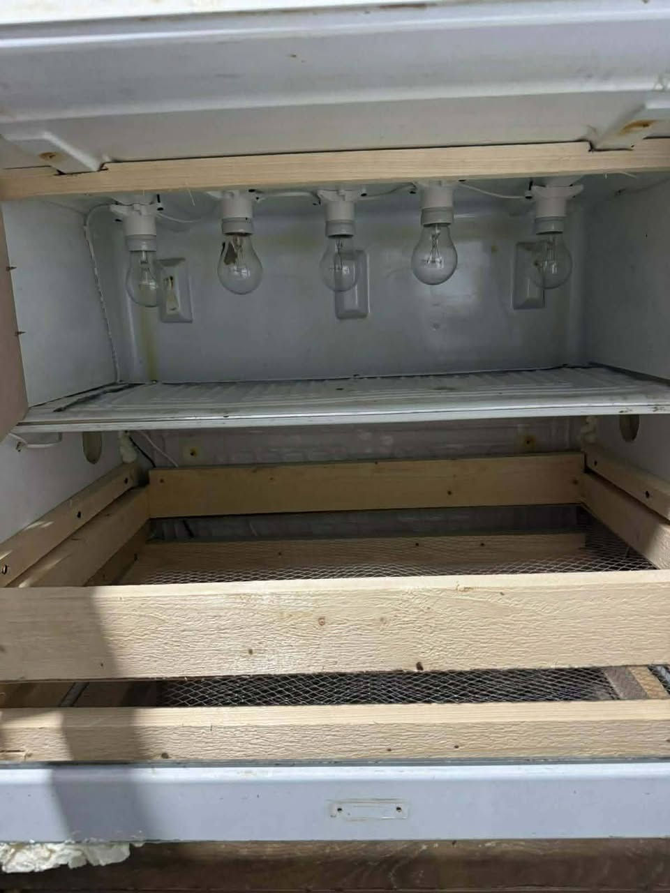 مفقس بيض عدد ٢ مامستخدمات تسع ١٠٠٠ بيض دجاج و٤٠٠٠ بيض سمان سعره الواحد ب٢٥٠ الف  هم مكلفهم مليون ونص اربيل مناره


**إذا كنت صاحب هذا الإعلان وتريد حذفه لأي سبب، رجاءا أرسل رسالة إلى الدعم الفني**