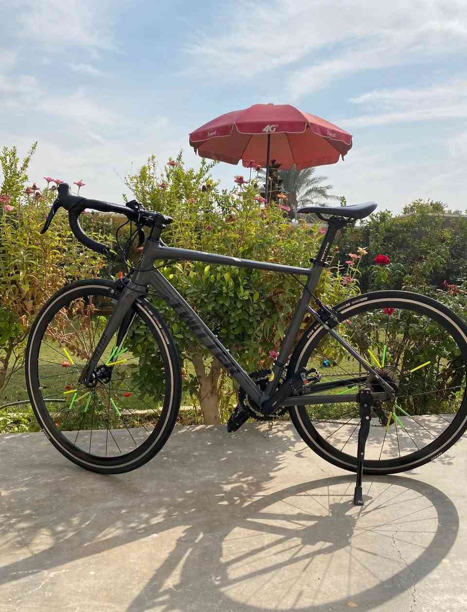 يالله سلام عليكم اخوتي الاعزاء 🤍
دراجة هوائية للبيع🚴‍♀️ ماركة TWITTER
قنيه عل التعريف رود حجم 28 المعدن الأمنيون الماشة كاربون الصينية براكيت الدشالي 11دشلي+2 الوايرات دفن الستيرن نفخ الفريم وايرات دفن البطيخات صوت طرب العقرب كاربون الوياله بوربرن كفائة عاليها ماشاءالله فول اللون سمنتي مميز مختومة جيرمني
أخوان الدرجة كامله مابيها فد شي مبدل خلاص 
بيها ملاحظات بسيطة فقط الويل الخلفي بي عواج والعقرب يرادله تعيار نظافتها 100/95 
سعرها صارت عليه ب640 السعر المطلوب 550 والي مايعرف بيها لا يكسر بيها يرحم موتاكم 
مكاني بغداد التاجي منطقة المشاهدة 
رقمي ‭***********‬
