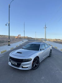 تشارجر SXT بلس • ٢٠٢٠ • كشنات جلد