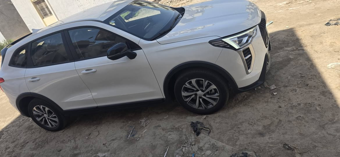 هافال جوليان موديل 2026 للبيع ماشيه 3000 بسم بنيه سياره وزوجه كافله  ادمن ممكن توافق حبيبي


**إذا كنت صاحب هذا الإعلان وتريد حذفه لأي سبب، رجاءا أرسل رسالة إلى الدعم الفني**