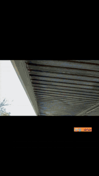 تكتك للبيع 2020شهر 5وراق وكيل شاكر كشره مكفوله منل صبغ ولمعجون 
جاهز كبل للشارع دوشمه فرشات كلجات جادر تخم تأير 
ترأي 22تكتك تخبل المكان ميسان المجر الكبير اتصل أوتدلل *********** خاص ما متواجد
