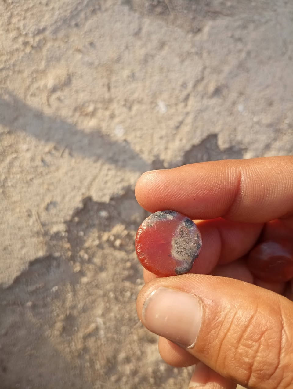 حجار قديمه البيع


**إذا كنت صاحب هذا الإعلان وتريد حذفه لأي سبب، رجاءا أرسل رسالة إلى الدعم الفني**