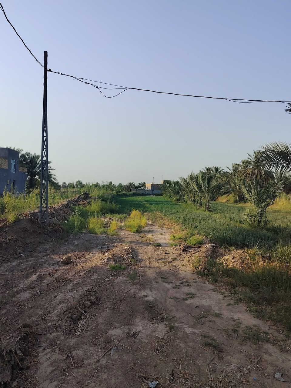 سلام عليكم يوجد دونم البيع توجد فيها كل خدمات ماء كهرباء وتبليط عنوان طريق حله بغداد منطقه فنديه جنس زراعي سند ٢٥ سعر 110. اتصل ***********
