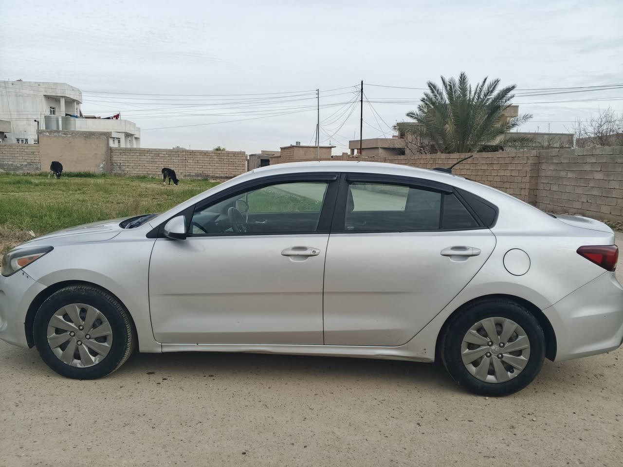 سلام عليكم كيه ريوه 2019 شرط محرك ما مفتوح وكير غطرت صبق ما بيه السعر 117 سياره وارد امريكي ضر بس دعاميه الماميه رقم الهاتف ***********
