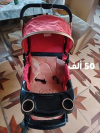حمره • وردي اوروبي • ٥ سنوات