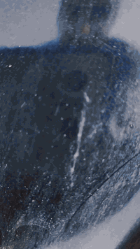 سلام عليكم شباب دراجه للبيع مجفته مره وحده انتصال عل رقم ‏‪***********‬‏
ما تواجد خاص  موجود وشراي بخدمده  
السعر 200
وبيه مجال المو شراي لا يتعبني
