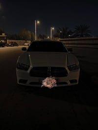 جاجر • ٢٠١١ • وارد كندي