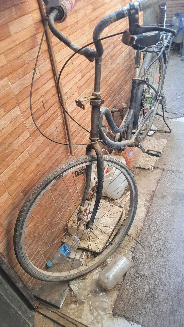 دراجه هوائيه حجم28بناتي السعر 30كربلاء كربلاء, العراق


**إذا كنت صاحب هذا الإعلان وتريد حذفه لأي سبب، رجاءا أرسل رسالة إلى الدعم الفني**