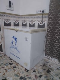 مجمدة • ام دولفين • شغالة