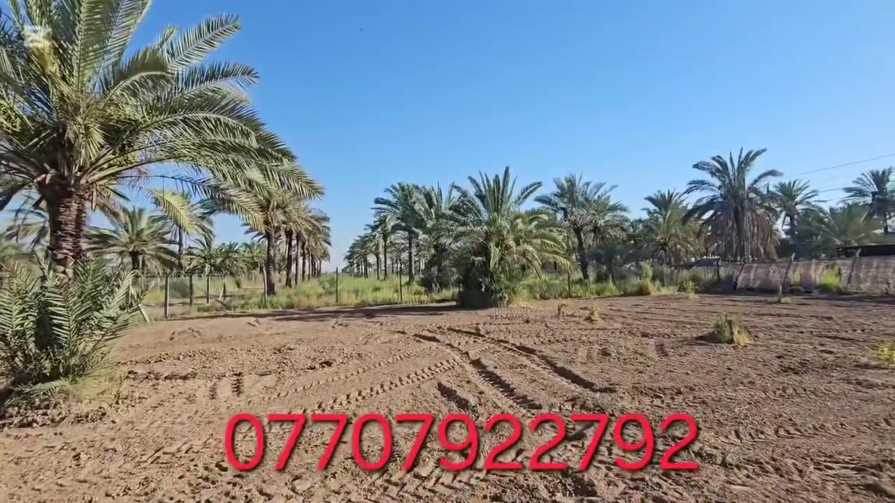 📢 فرصة مميزة للبيع في بغداد – الراشدية / منطقة الانتصار. يتوفر دوانم بمساحة (4) دونم طابو سند (25)، بواجهة (40) متر ونزال (250) متر، ويتميز بإمكانية البيع كاملًا أو التقطيع حسب الاتفاق. فرصة مناسبة للسكن أو الاستثمار أو للزراعه للاستفسار والتواصل: ***********
@إشارة
