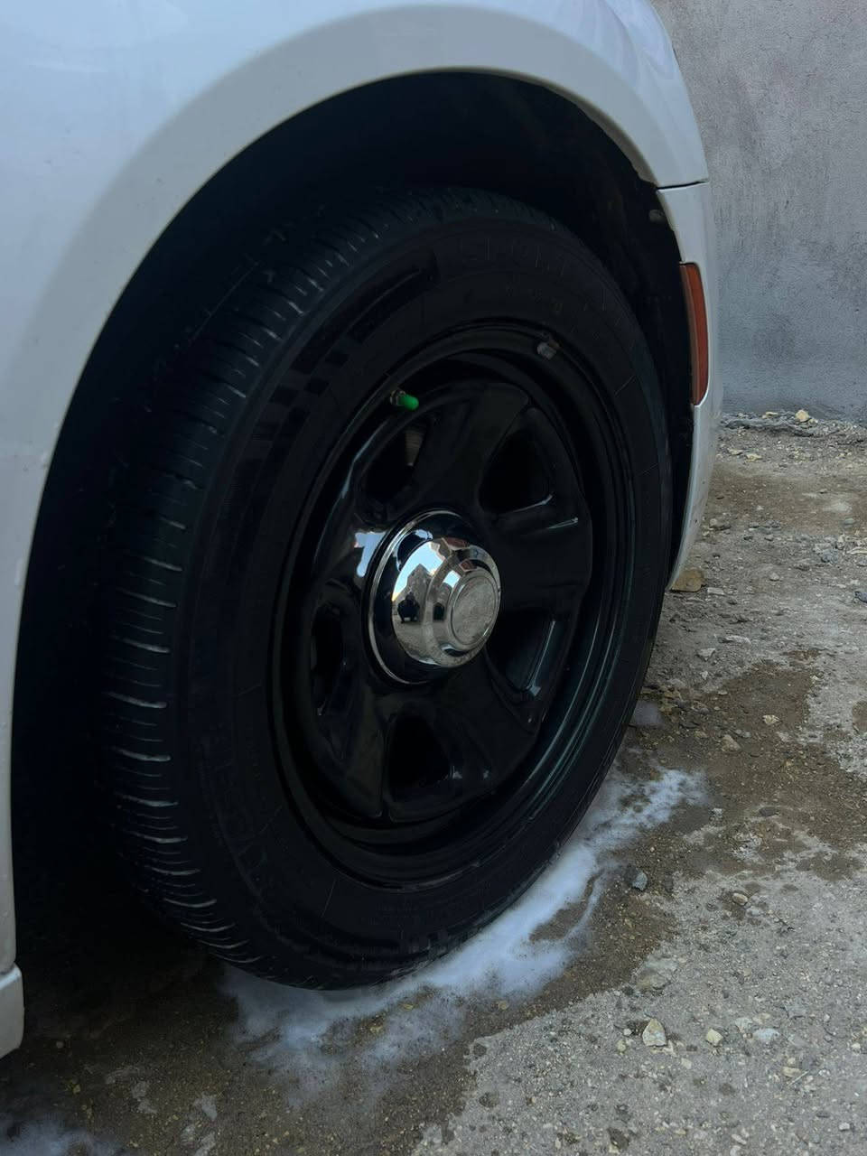 ويل بوليسي حجم ١٨ تجاري كارتون توني شادة جديد بيع او مراس ....استفسار/***********
