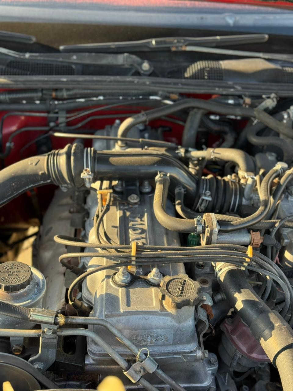 السلام عليكم هارتوب مديل ١٩٨٩
مكفوله كفاله عامه غير بار بل باب اليسر رقم بغداد النكليزي سياره بسمي مكاني بغداد سعر 85 وبيهه مجال مكفوله من صبغ عده العاميه
***********
