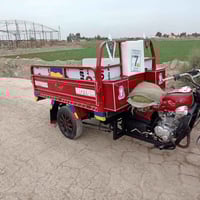 ستوته • موديل 19 • كفاله عامه