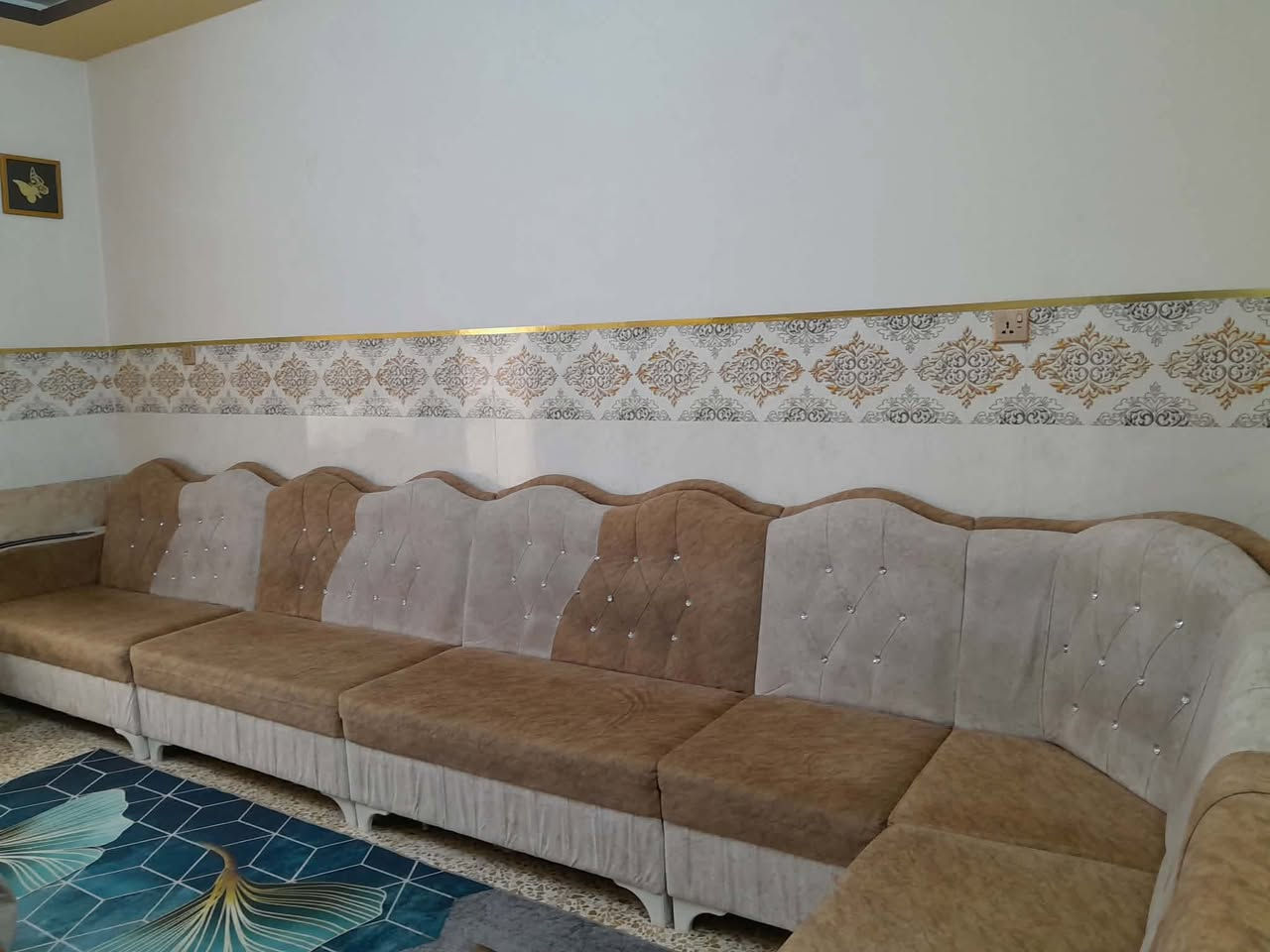 القنفات الطول ٧ امتار عرض ٥٠ والجكامج الطول ١١٠ والعرض ٦٩ مكانهم الميثاق


**إذا كنت صاحب هذا الإعلان وتريد حذفه لأي سبب، رجاءا أرسل رسالة إلى الدعم الفني**