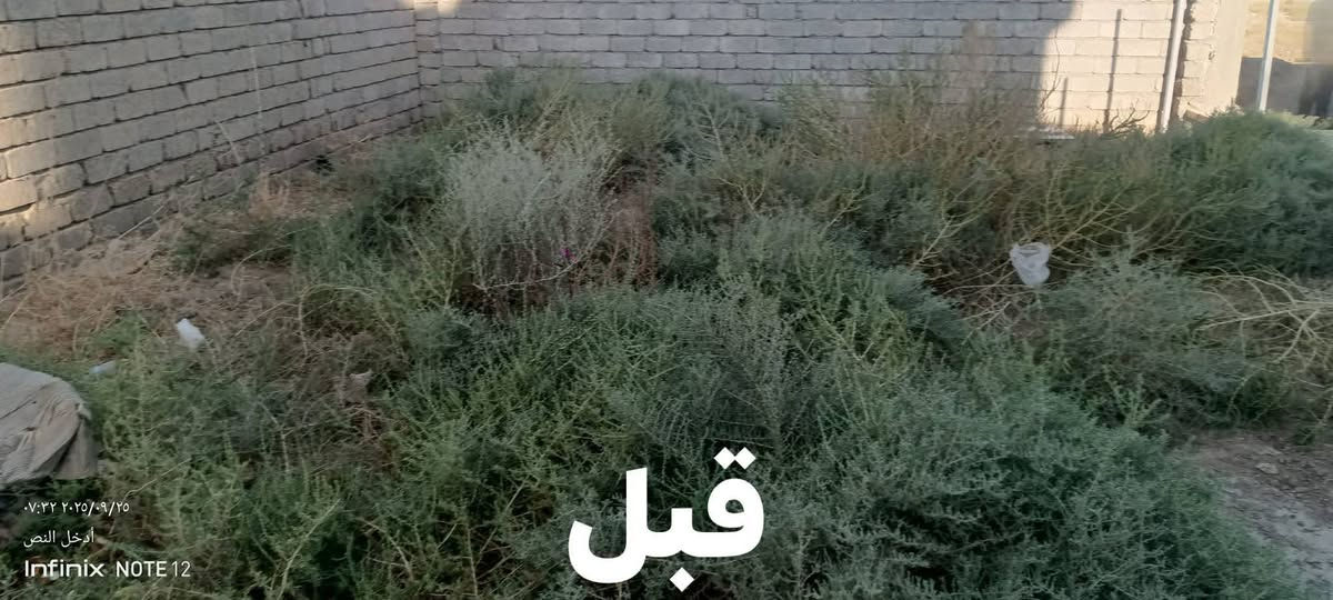 السلام عليكم
يوجد كادر لقص الحدائق وتنضيف الأحواش  ***********///***********//

