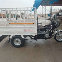 ستوته أم الطير • موديل 2020 • أوراق كاملة