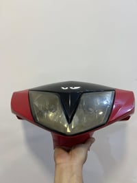 ثعلب • سكنس • بغداد