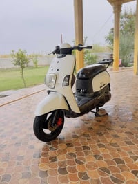 بوليس نوزل • مكفولة • المحمودية