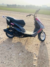 منغولي • بو شي 55 • نظيف