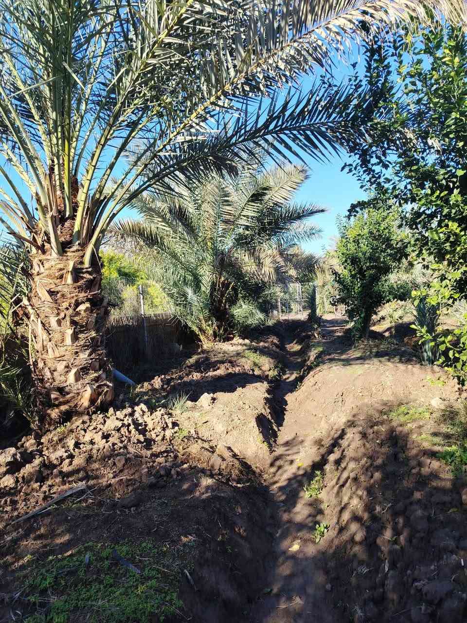 اسلام عليكم
السعر 180
المساحه دونم
العنوان بغداد الراشديه
الموقع قريت ال مصلح
الجبه 70
نوع العقد سند 25
الخدمات مي وكهرباء وما اساله
موقع هدؤ
الستفسار***********
راسلني واتساب ادزلك الموقع
ومتوفر عندي نص دونم هم للبيع
