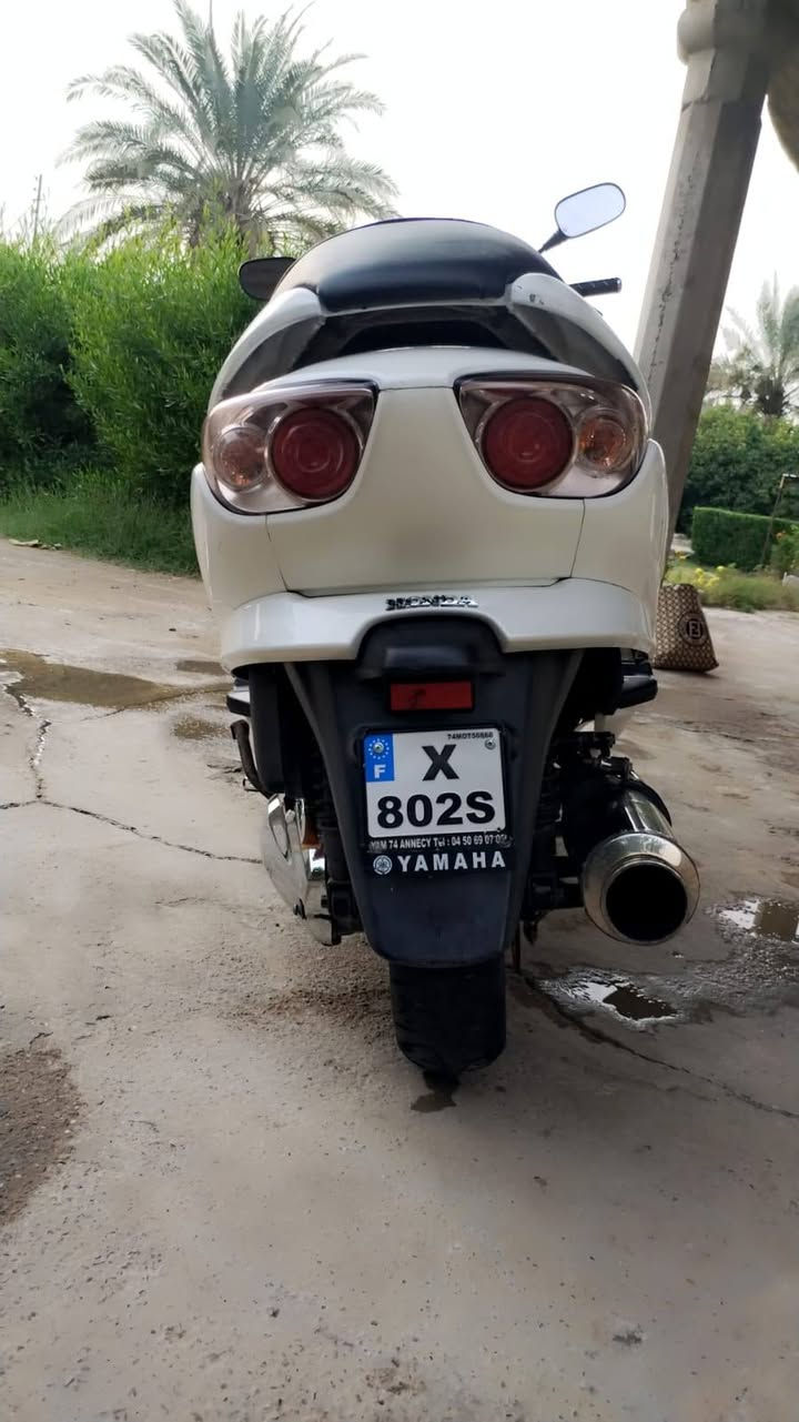 السلام عليكم 09 للبيع
الماطور جدا نضيف الكفرات نضافه ٨٥
اللون ابيض صدفي 
الكشن مغلف جديد
موجود الدبل مال الكشن شغال
لايت اصلي مال شركه عالي ناصي
صالنصه رياضي صوتها كلش حلو 
معدل عالاستانه ١٥٠ بالشارع ١٣٥
محرك فول نضيف الصبح ايطلع بخار
للجناي ما يصرف عليها لو برغي 
الاكويتر والنوزل والفيتبم فول
الصبح ثلج نكره وحده تشتغل
اكلجات وغايش كله جديد 
موجود فيديو للماطور اقتنع وخابر
السعر ١٣٥٠ وبيه مجال للشراي
*********** صلاح الدين الاسحاقي
