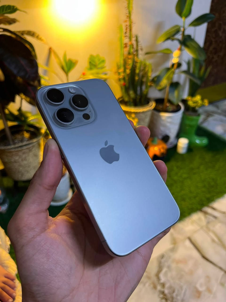 سلام عليكم
Iphone 15 pro فقط
بطاريه 86 
نموذج H/A
هونغ كونغ يعني دبل سيمكارت خطين
نضافه فول ملحقات كامله كارتون وكيبل 
السعرر 875 بي محال بسيط


**إذا كنت صاحب هذا الإعلان وتريد حذفه لأي سبب، رجاءا أرسل رسالة إلى الدعم الفني**